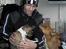 Basenji Lilly - Lilly med Benjamin og Asta 