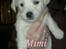 Blanding af racer Mimi R.I.P