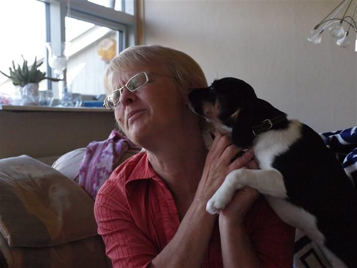 Blanding af racer Leopold - Leopold - 4mdr - deler MEGET gerne ud af myzzere!  billede 8