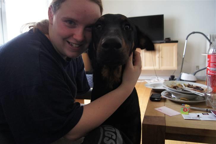 Blanding af racer Nikita R.I.P billede 2