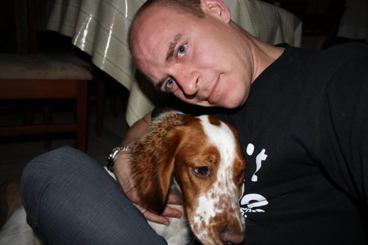 Welsh springer spaniel Flicka † billede 12