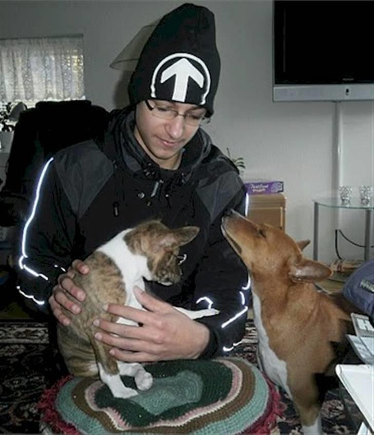 Basenji Lilly - Lilly med Benjamin og Asta  billede 3