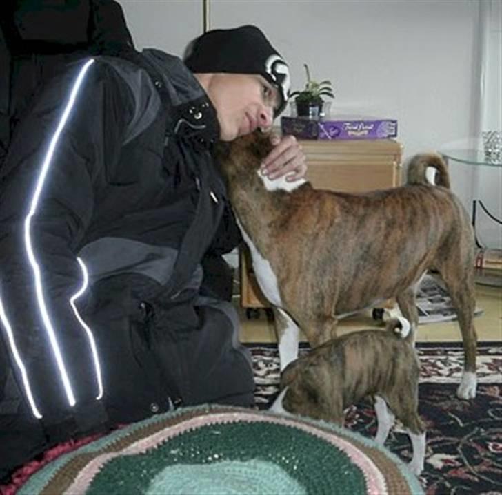 Basenji Lilly - Lilly med Benjamin og Mickey  billede 5