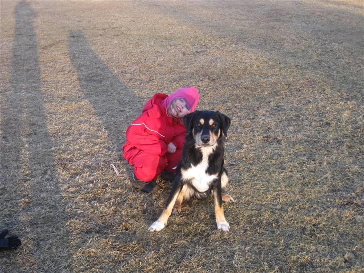 Blanding af racer Coda - Gode venner :) (Eller nogen gange) billede 16