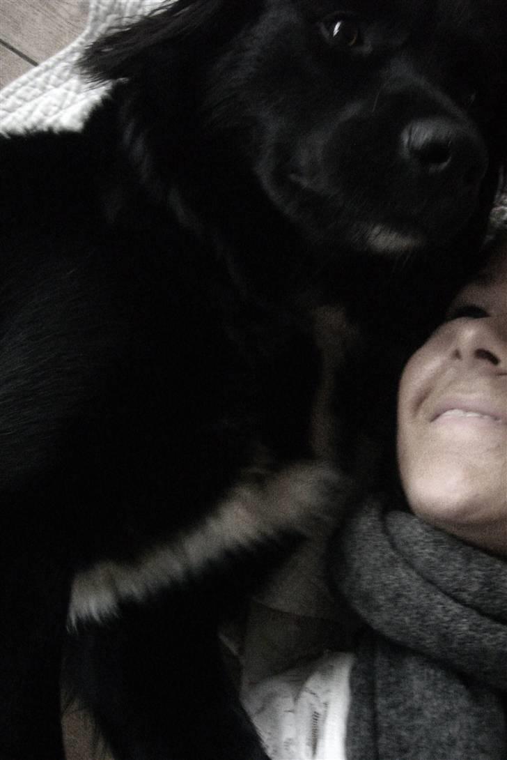 Blanding af racer Nønne billede 5