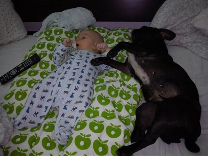 Blanding af racer Carla billede 10