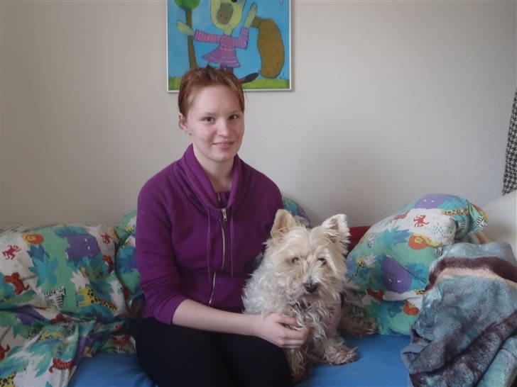 West highland white terrier Ronja (Solo)  R.I.P - Det sidste billede der blev taget af mig og solo sammen..  billede 15