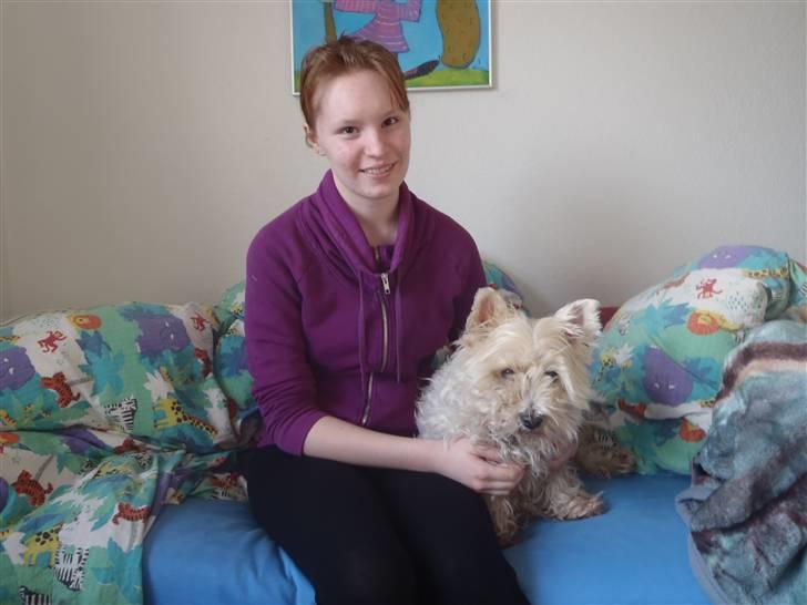 West highland white terrier Ronja (Solo)  R.I.P - En af de sidste billeder af solo og mig sammen...  billede 16