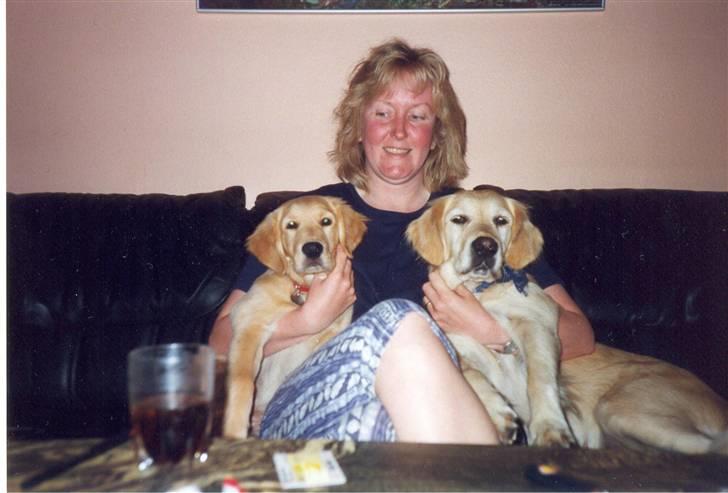 Golden retriever Dolly  22-03-11 R.I.P.  billede 19