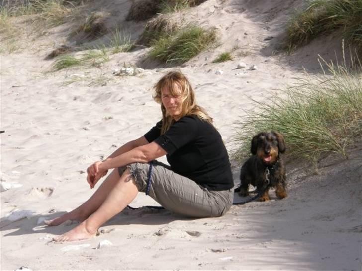 Gravhund Albert (knaldeballe) - Albert og min stedmor tager en lille slapper i sandet billede 11