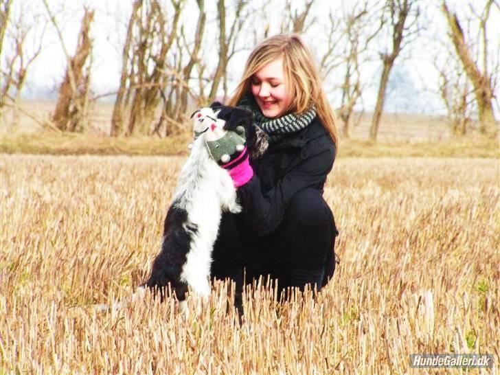 Blanding af racer Klara kluk!<3 billede 5