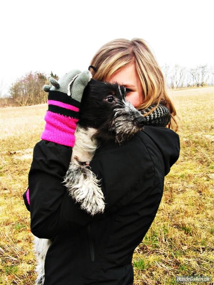 Blanding af racer Klara kluk!<3 billede 7