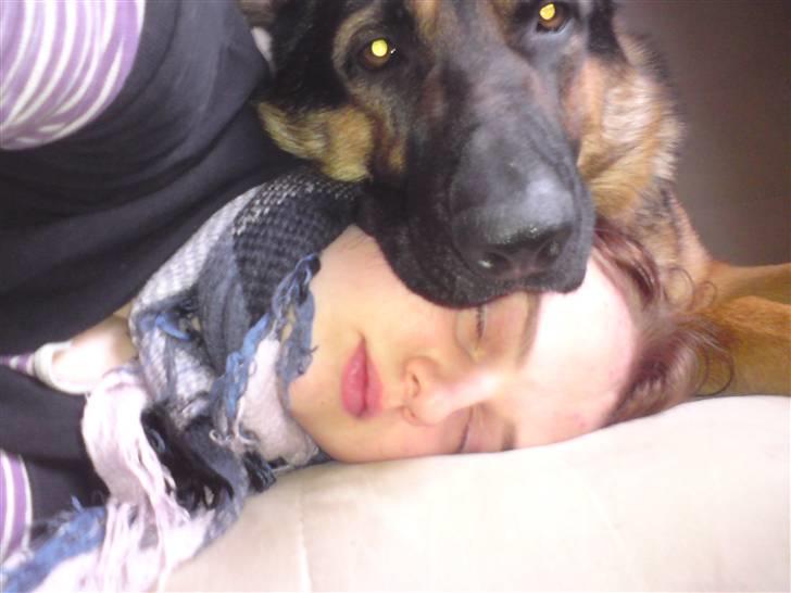 Blanding af racer Basse billede 14