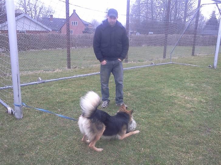 Blanding af racer Rex - Dejligt at lege med far  billede 8