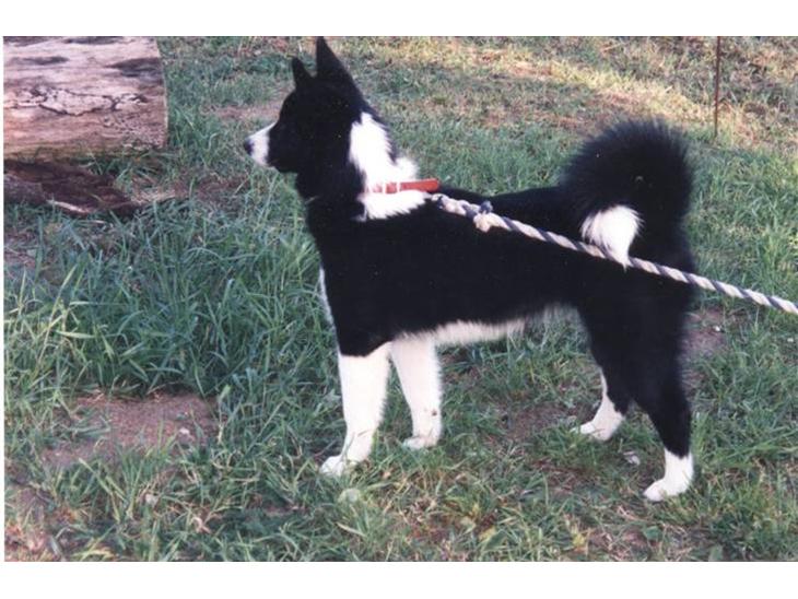 {{currentPhoto.altText}} billede {{currentPhoto.number}}