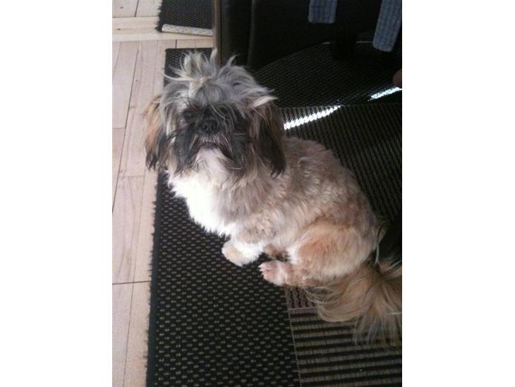 {{currentPhoto.altText}} billede {{currentPhoto.number}}