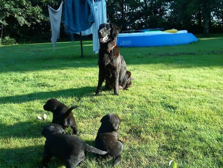 {{currentPhoto.altText}} billede {{currentPhoto.number}}