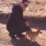 Blanding af racer Pyt