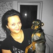 Dvaergpinscher Pappy <3