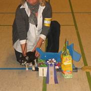 Chihuahua Mexi Jessie