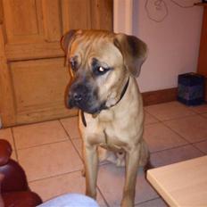 Blanding af racer Mach