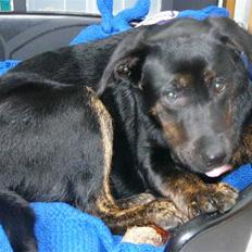 Blanding af racer Luna <3 min prinsesse