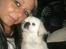 Pekingeser Scott - Vi hygger