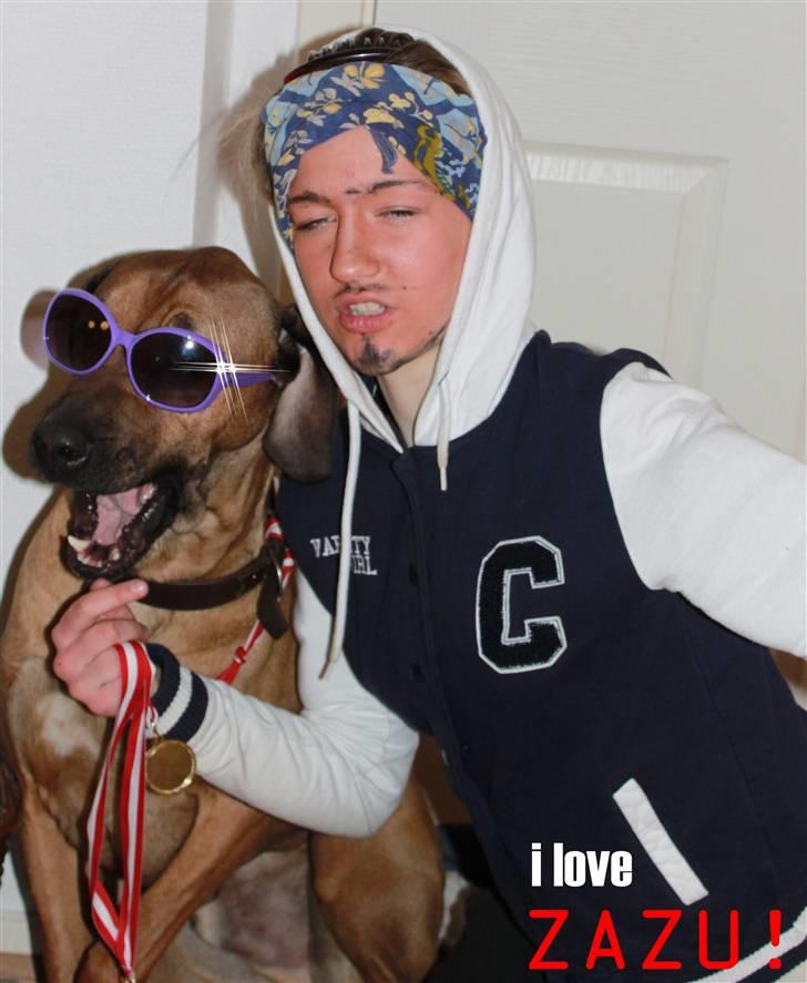 Rhodesian ridgeback Zazu Tigereye  billede 17