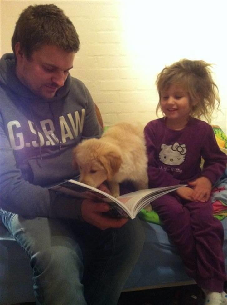 Blanding af racer Messy billede 15