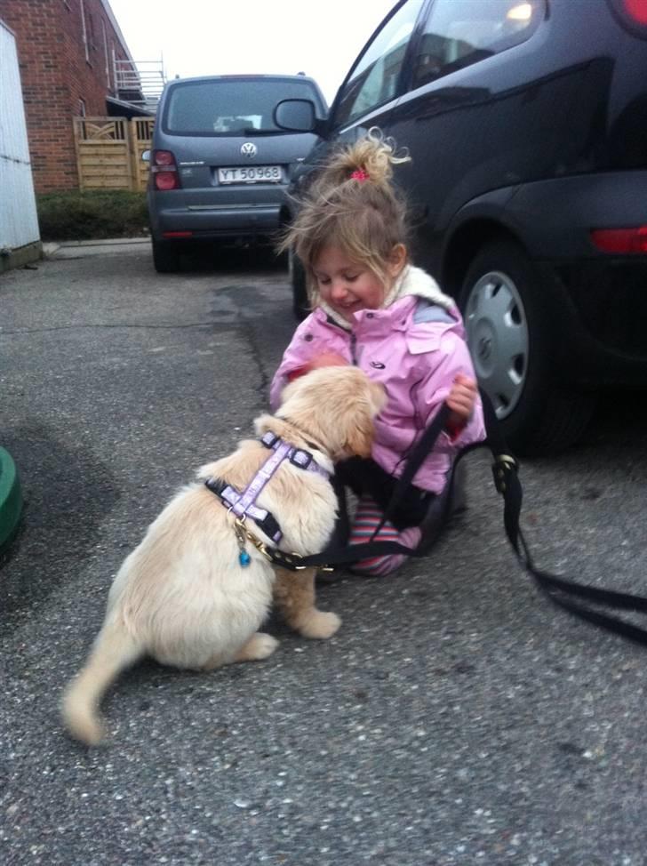 Blanding af racer Messy billede 19