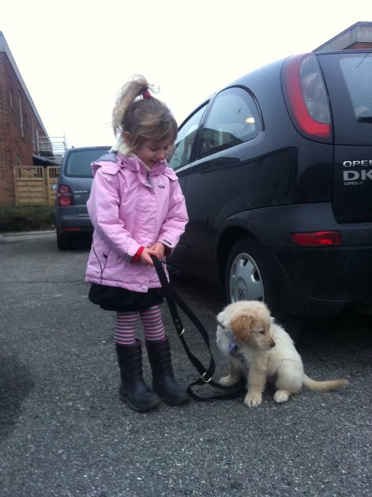 Blanding af racer Messy billede 20