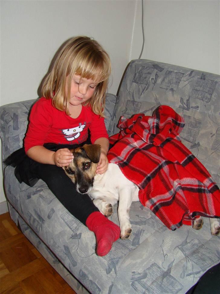 Blanding af racer Otto - Otto og hans bedste ven billede 8