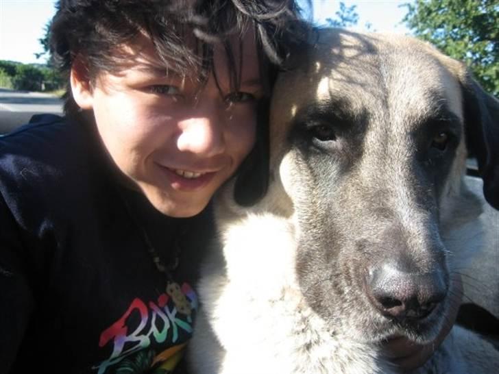 Blanding af racer Samson - Lillebror med Samson :) billede 10