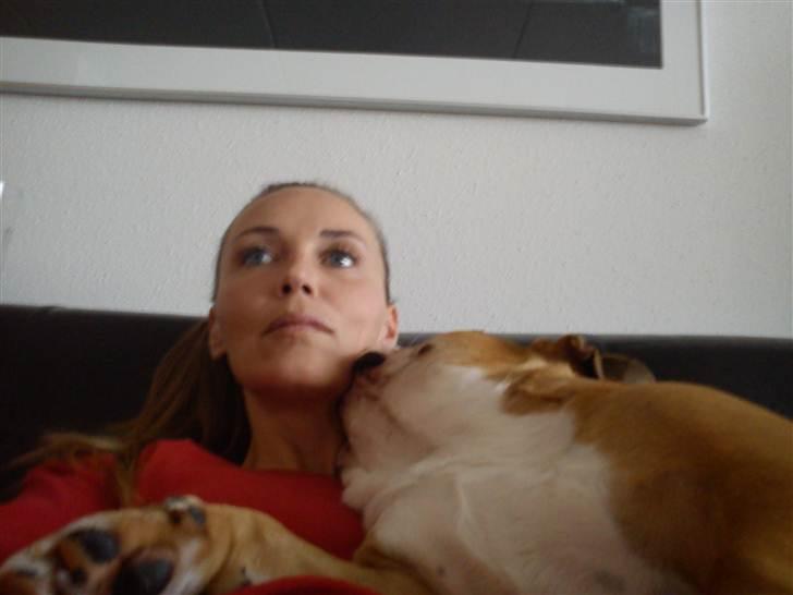 Engelsk bulldog Holger - Er'sujo - Mig og "Dengsen" billede 15