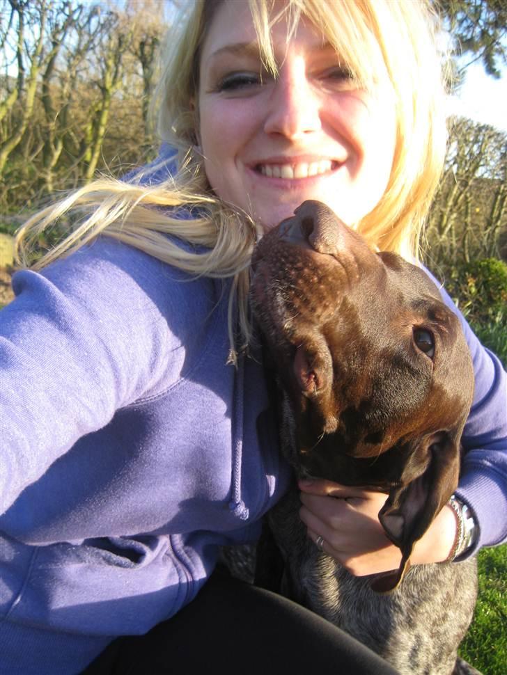 Korthåret hønsehund Plet - Han er så dejlig (o: billede 4