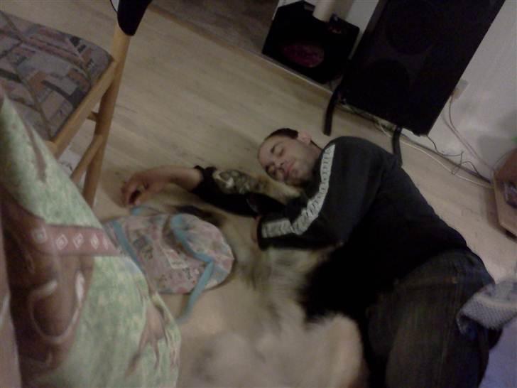 Blanding af racer Rex - Dejligt at hygge med far :D billede 16