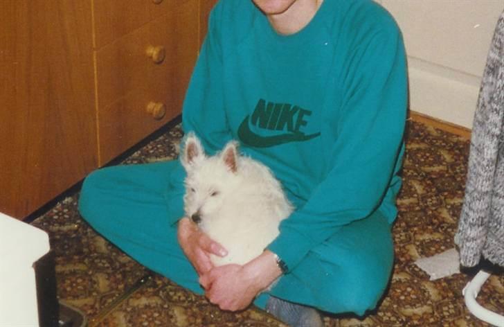 West highland white terrier Nikki † billede 8