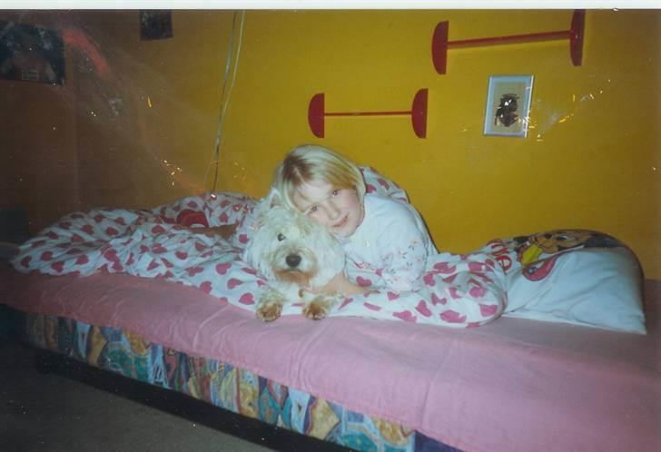 West highland white terrier Nikki † - Ham og mig da jeg var lille :) billede 19