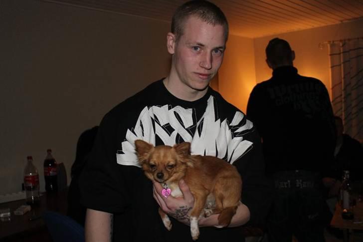 Chihuahua Bella Matea billede 12