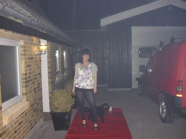 Dværgpuddel Max - med mor på den røde løber - billede 5