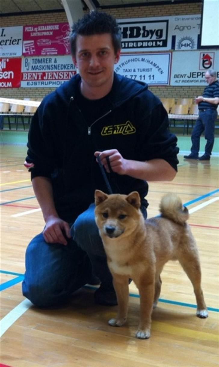 Shiba Max - Max og Peter billede 12