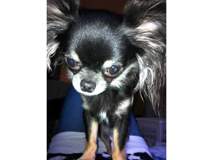 {{currentPhoto.altText}} billede {{currentPhoto.number}}