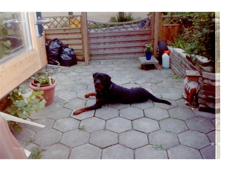 {{currentPhoto.altText}} billede {{currentPhoto.number}}