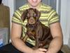 Dobermann Doobergårdens Forever Fancy  Himmelhund :(