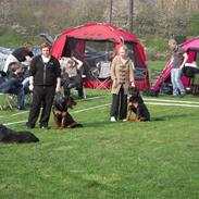 Rottweiler Von Hause Eisenguard Eis