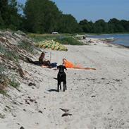 Blanding af racer Mille