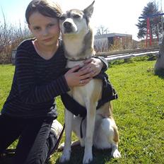 Blanding af racer Bonnie 