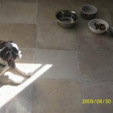 Blanding af racer bibi