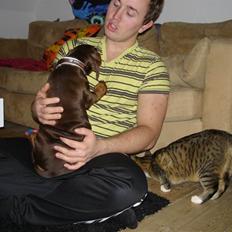 Dobermann Doobergårdens Forever Fancy  Himmelhund :(