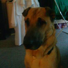 Blanding af racer Batman AKA Batte